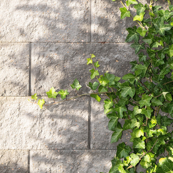 Compac Plus i grått – mursten till friliggande murar