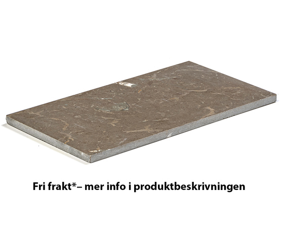 Kalksten gråbrun Borghamn stenprov