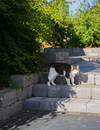 rustikblock grafit trappa med söt katt
