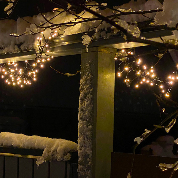 LightsOn Bliss – ljusslinga hänger i ett träd vid ett tak
