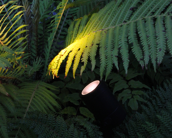 LightsOn Startpaket