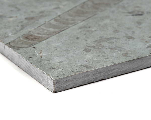 Kalksten ljusgrå Borghamn slipad flx20x1 cm