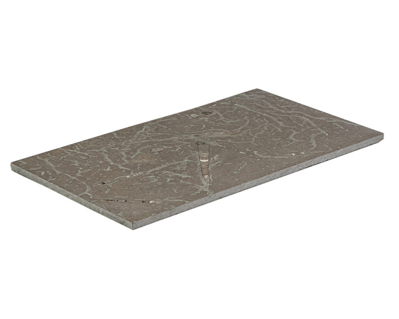 Kalksten gråbrun Borghamn slipad flx30x1 cm