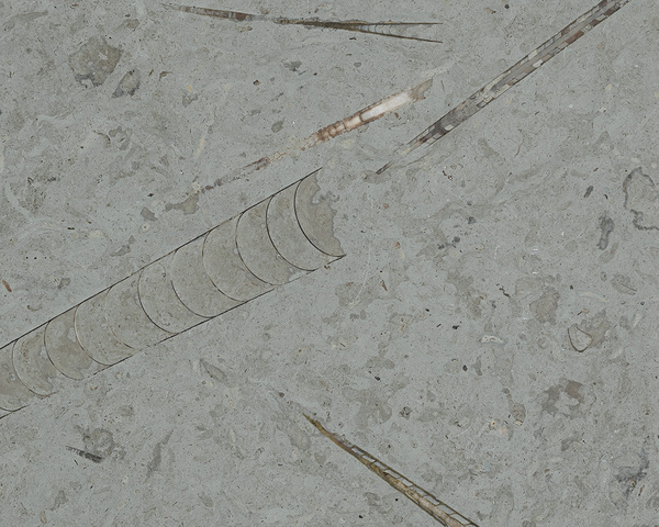 Kalksten ljusgrå Borghamn slipad flx20x1 cm