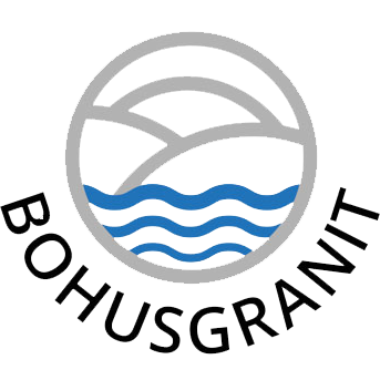 Bohusgranit