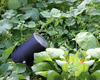 LightsOn Startpaket