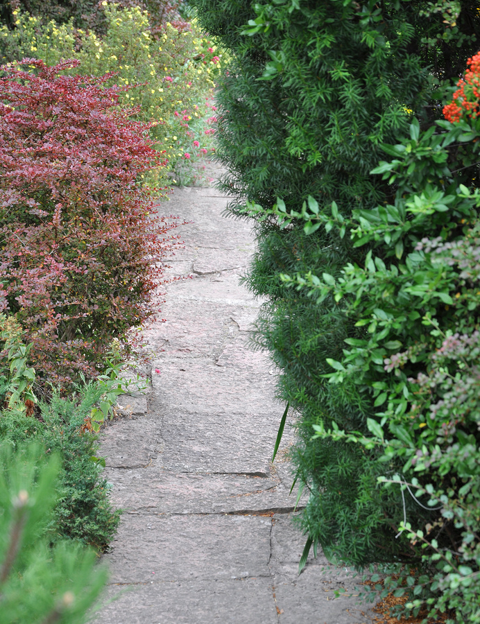 Kalksten röd oregelbunden Öland 4-8 cm | Handla hos Flisby
