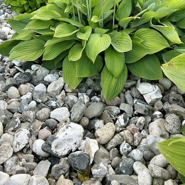 Sjösten svart/vit 32-84 mm 500 kg | Handla hos Flisby